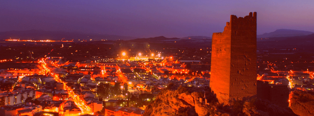veterinario a domicilio región de murcia en alhama de murcia