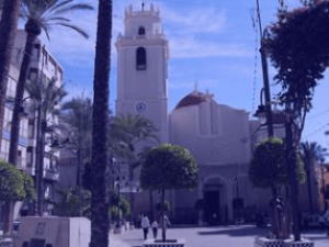 veterinario crevillente a domicilio