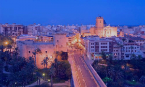 veterinario elche a domicilio