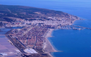 veterinario santa pola a domicilio