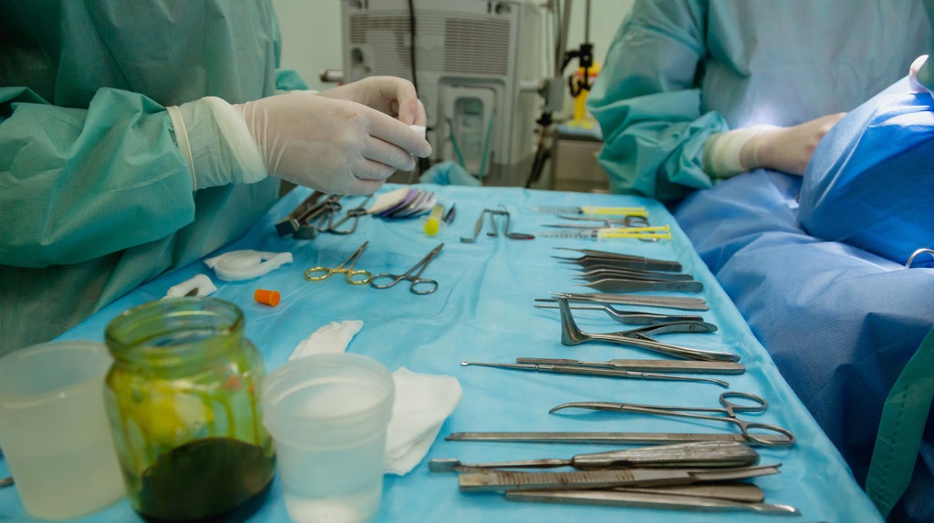 veterinario a domicilio murcia