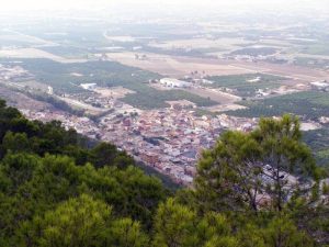 Veterinario Arneva a domicilio