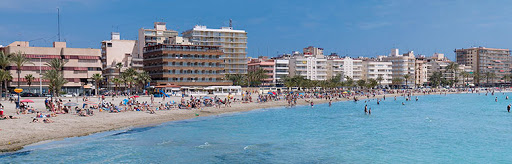 veterinario santa pola