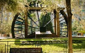 veterinario molina de segura