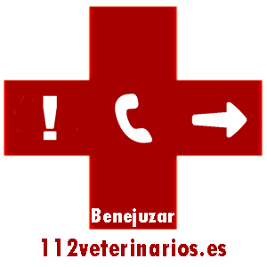 veterinario benejuzar a domicilio