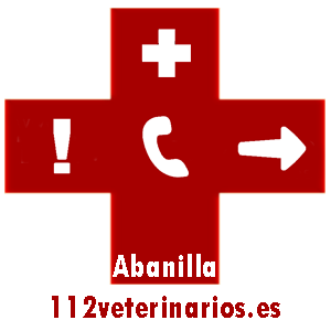 Veterinario Abanilla a domicilio