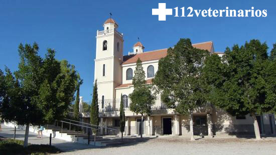 Veterinario Benejuzar a domicilio