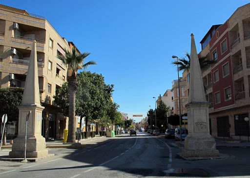 veterinario beniel a domicilio