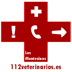 Veterinario los montesinos