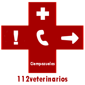 Veterinario Ciempozuelos