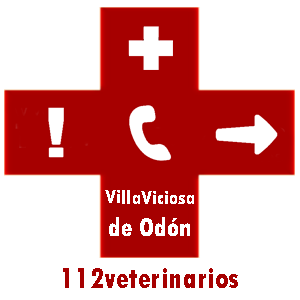 Veterinario VillaViciosa de Odón