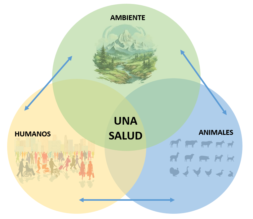 una salud. 112veterinarios