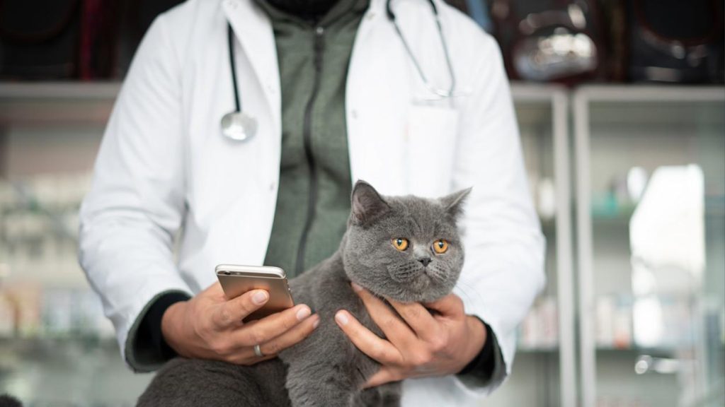 consulta veterinaria telefónica