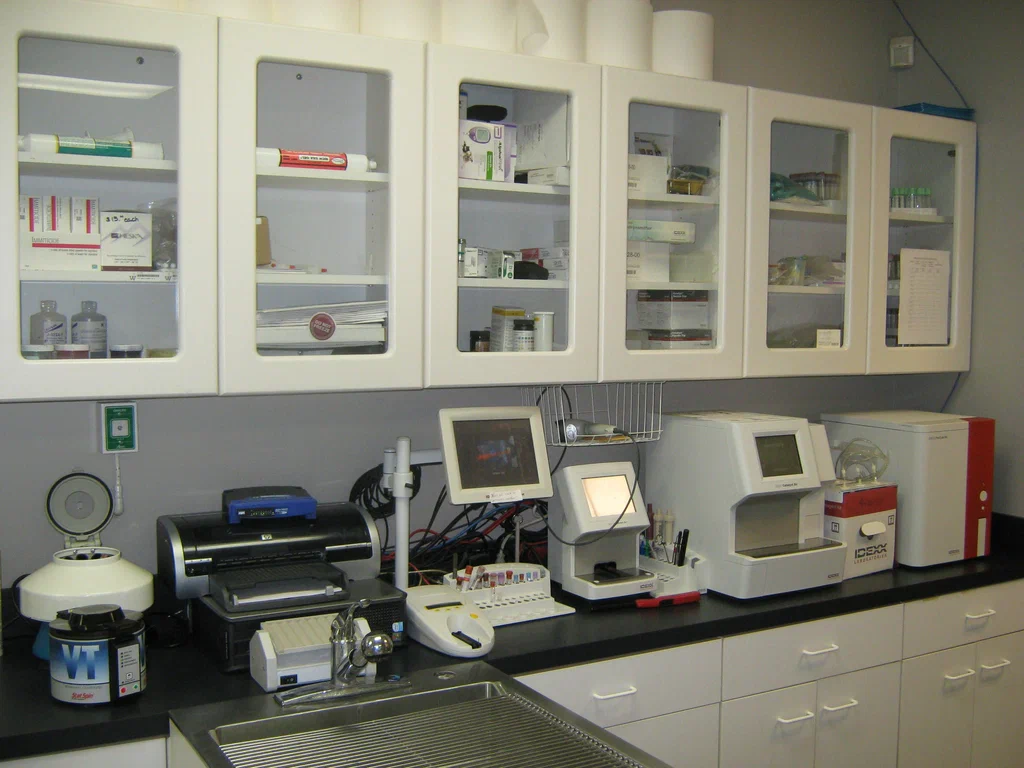 Laboratorio veterinario